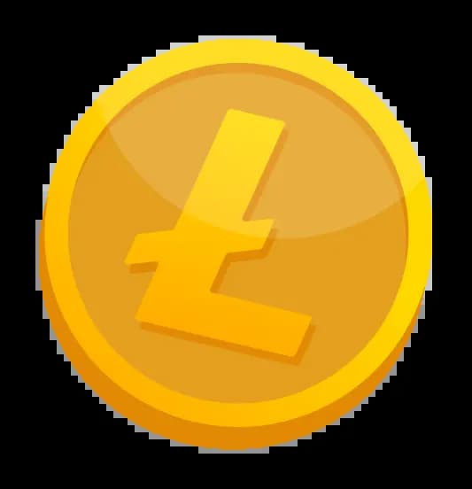 coin icon